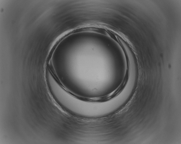 X0000087630846200705031443