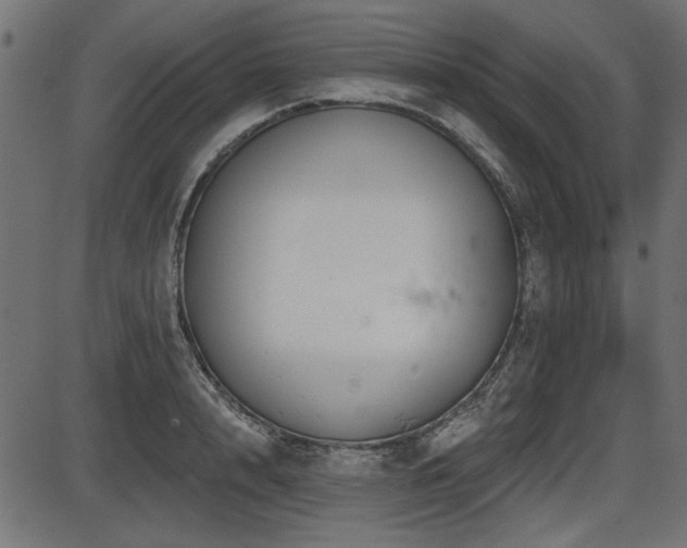 X0000087630848200705031443