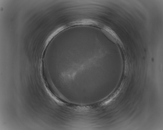 X0000087630850200705031443