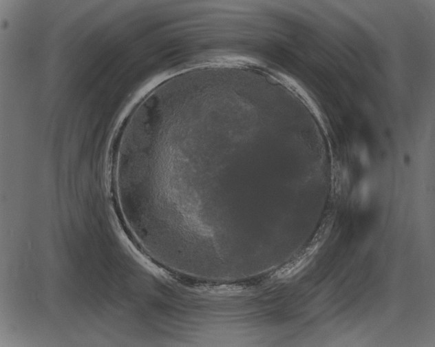 X0000087630851200705031443