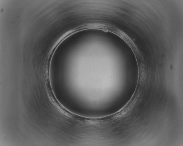 X0000087630852200705031443