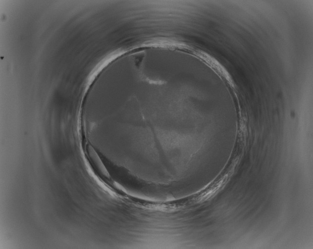 X0000087630855200705031443