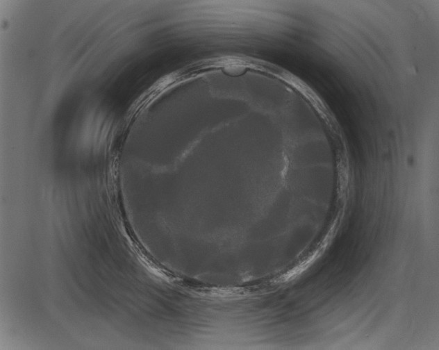 X0000087630857200705031444