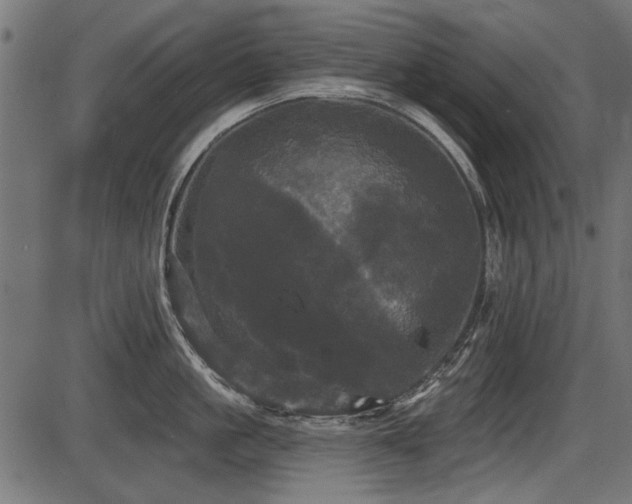 X0000087630861200705031444