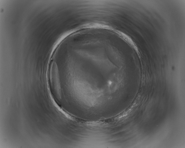 X0000087630863200705031444