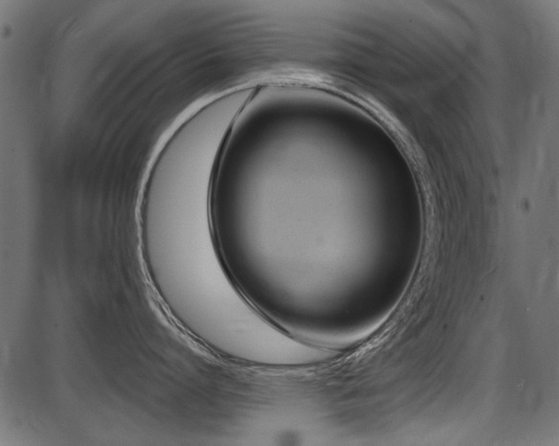 X0000087630864200705031444