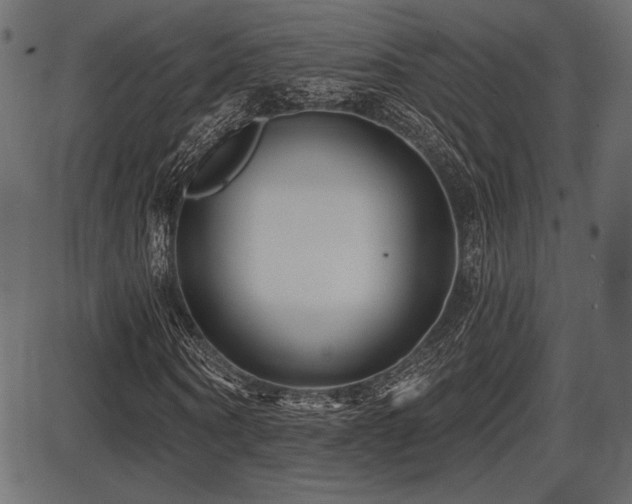 X0000087630866200705031443