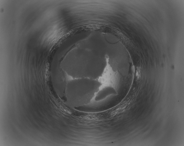 X0000087630867200705031443