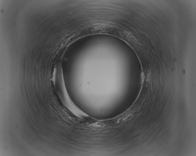 X0000087630868200705031443