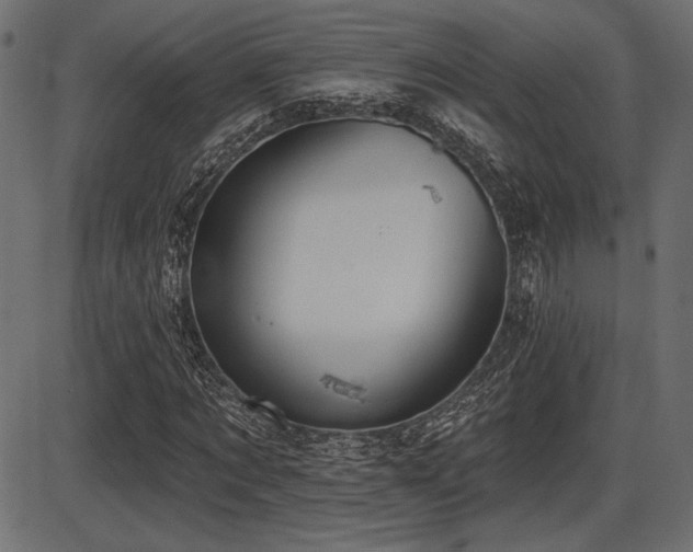 X0000087630869200705031443