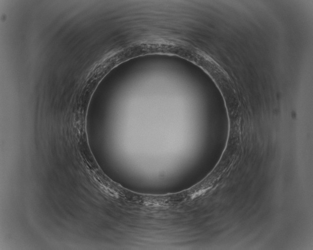 X0000087630870200705031443