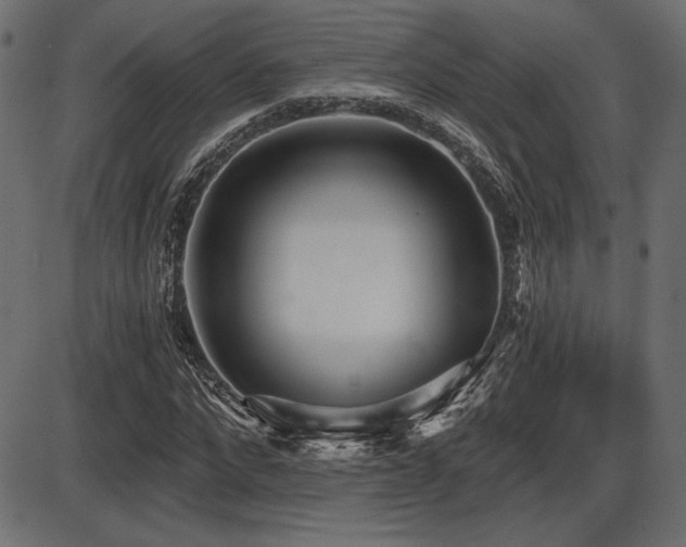 X0000087630872200705031443