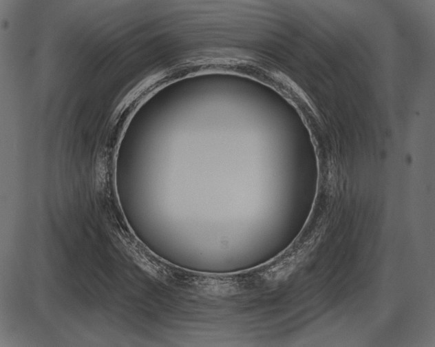 X0000087630874200705031443