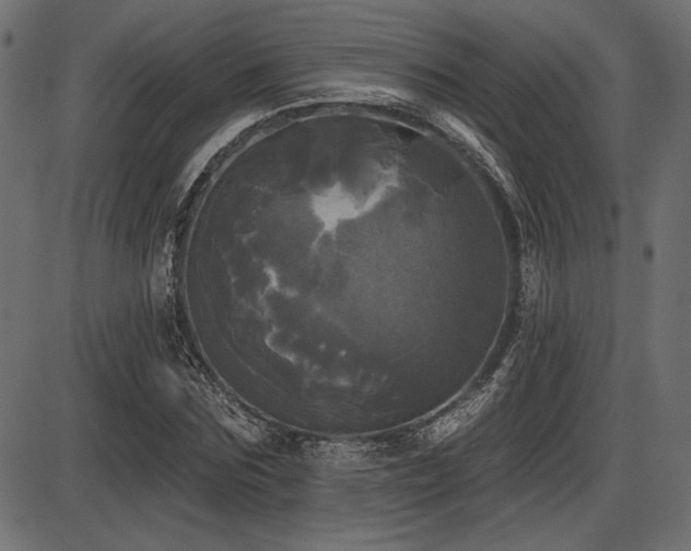 X0000087630875200705031443