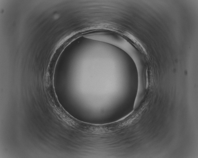 X0000087630876200705031443