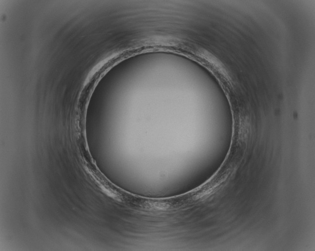 X0000087630878200705031443
