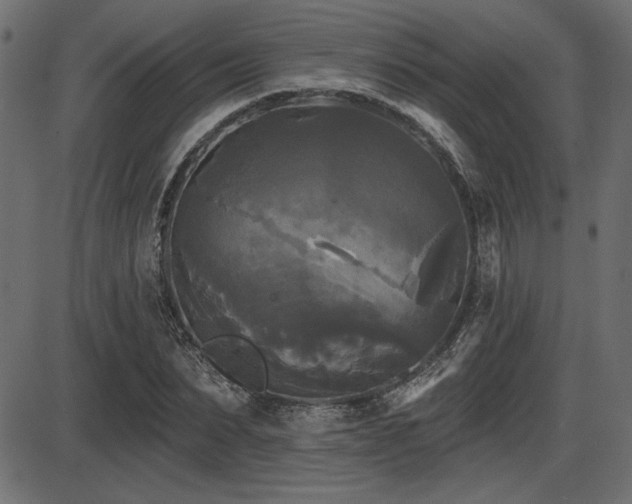 X0000087630879200705031443