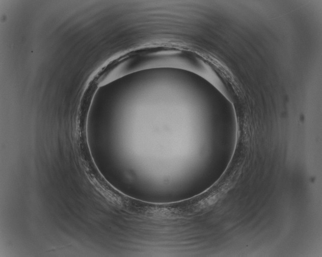 X0000087630880200705031443