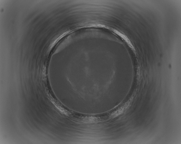 X0000087630881200705031443