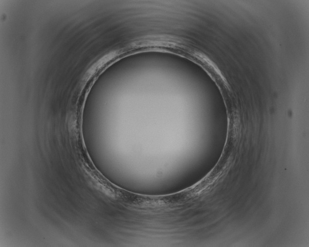 X0000087630882200705031443