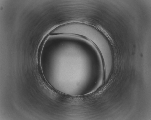 X0000087630884200705031443