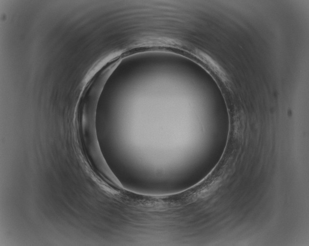 X0000087630885200705031443