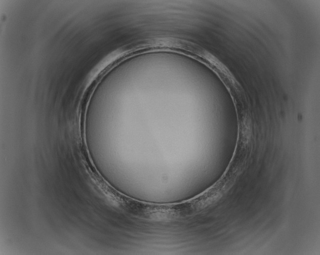 X0000087630886200705031443