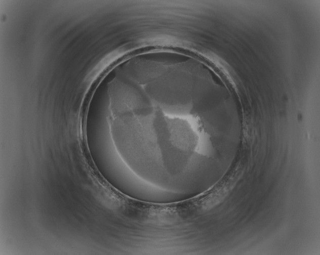 X0000087630887200705031443
