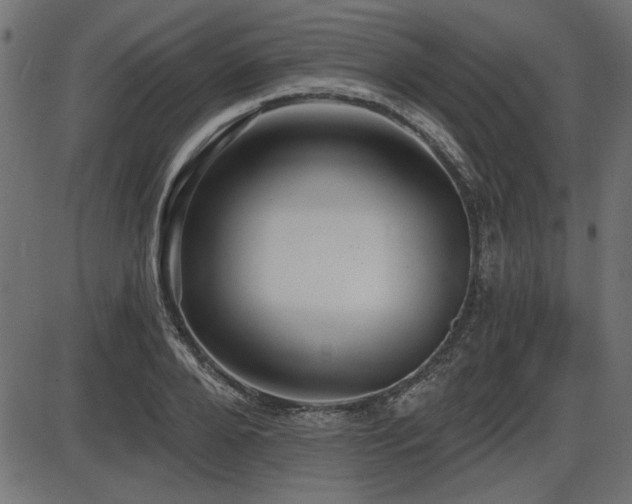 X0000087630888200705031442