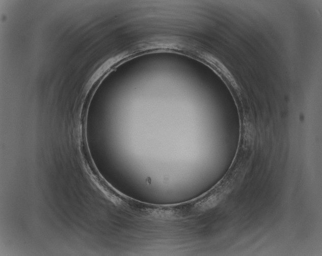 X0000087630890200705031442
