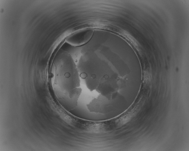 X0000087630891200705031442
