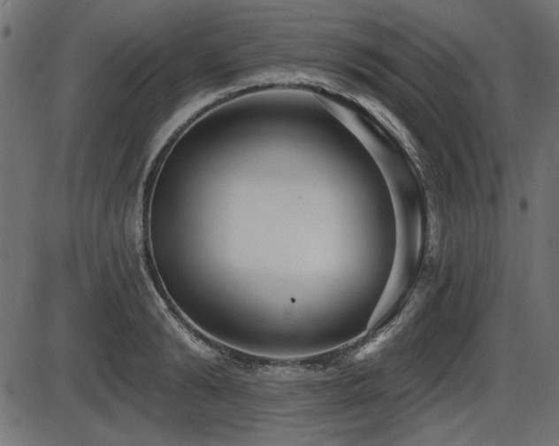 X0000087630894200705031442