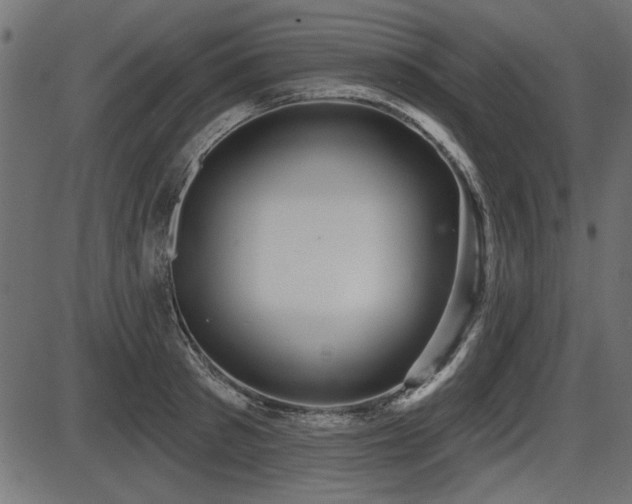 X0000087630897200705031442