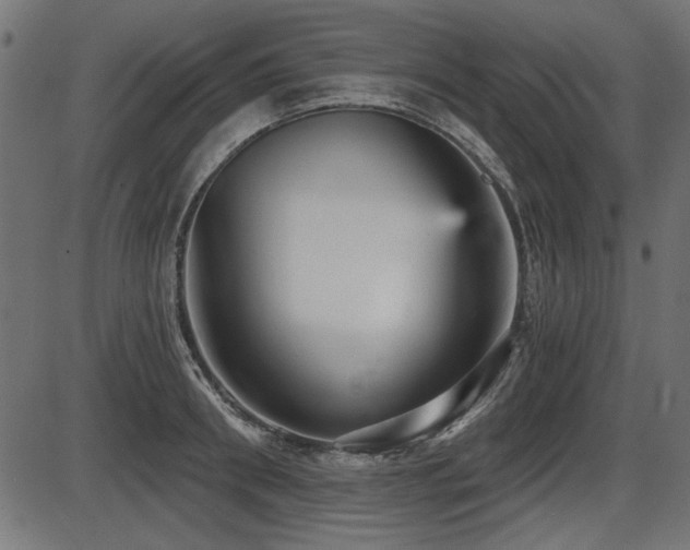 X0000087630898200705031442