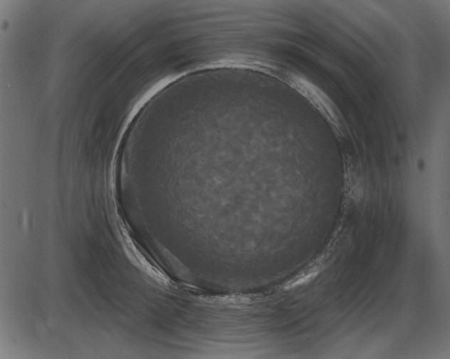 X0000087630900200705031442