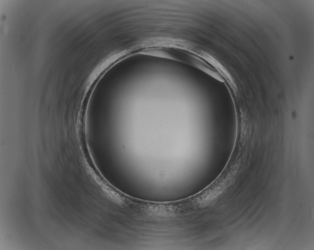 X0000087630901200705031442