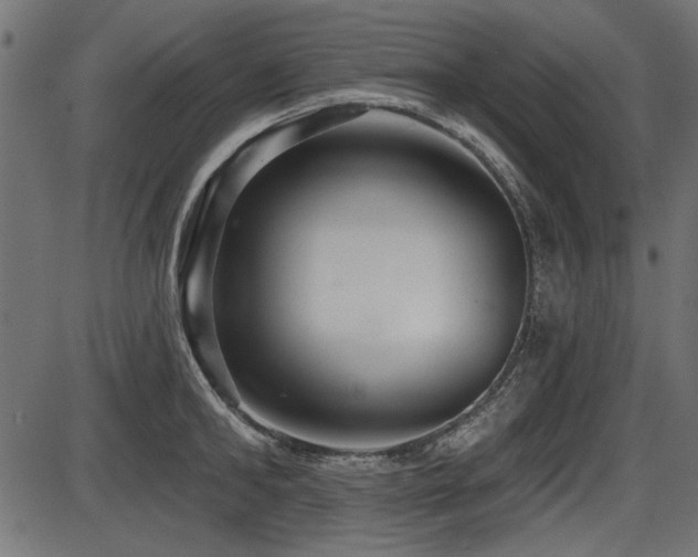 X0000087630902200705031442