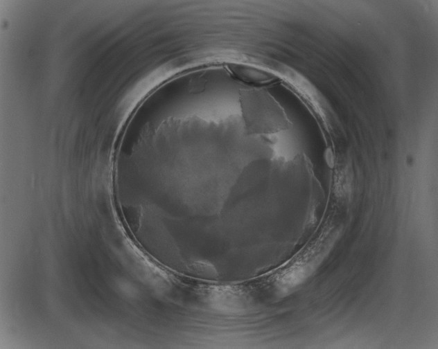 X0000087630903200705031442