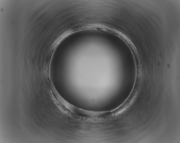 X0000087630905200705031442