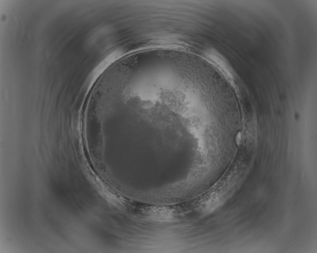 X0000087630907200705031442