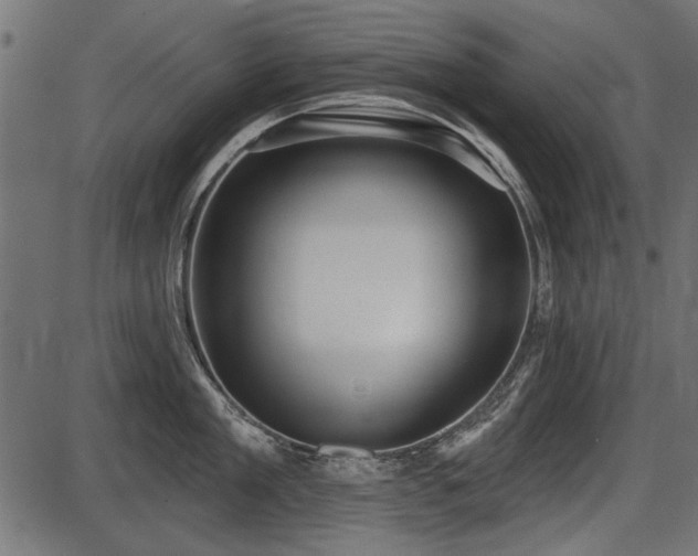 X0000087630909200705031442