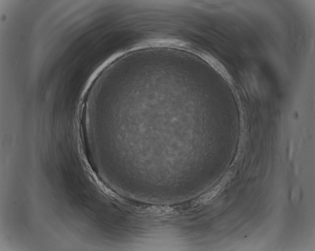 X0000087630912200705031442