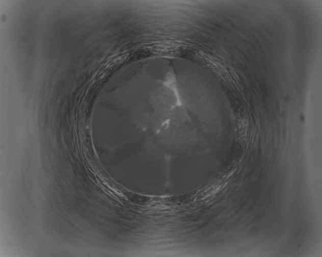 X0000087630913200705031441