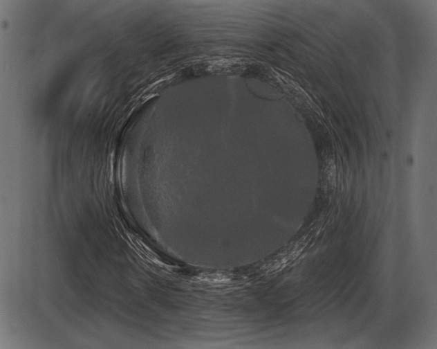 X0000087630914200705031441