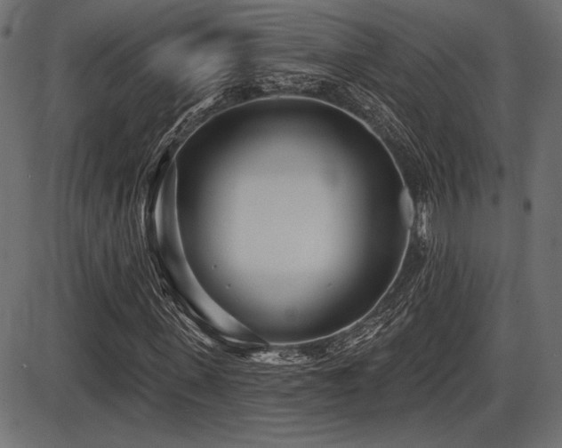 X0000087630915200705031441