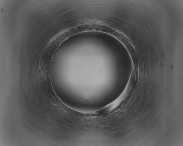 X0000087630919200705031441