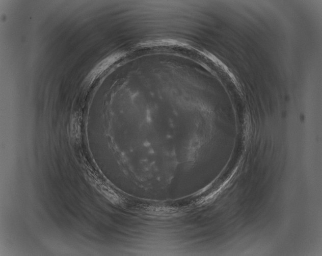 X0000087630921200705031441