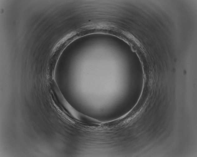X0000087630922200705031441