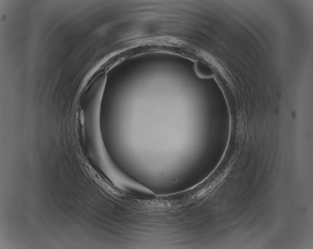 X0000087630923200705031441