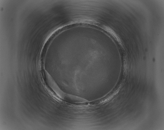 X0000087630924200705031441